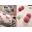 COJIN CEREZAS SWEET LOVE - Imagen 1