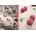 COJIN CEREZAS SWEET LOVE - Imagen 1