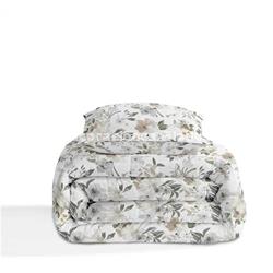 EDREDON RENFIL - Imagen 2